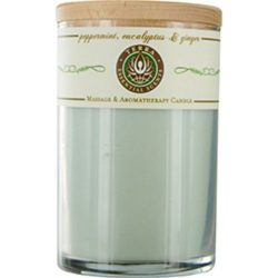 Eucalyptus & Ginger By Terra Essential Scents #233704 - Type: Aromatherapy For Unisex